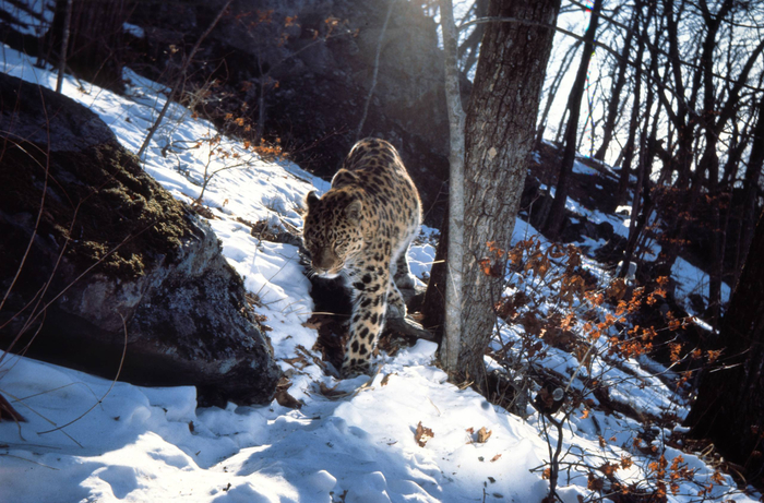 ����� �������