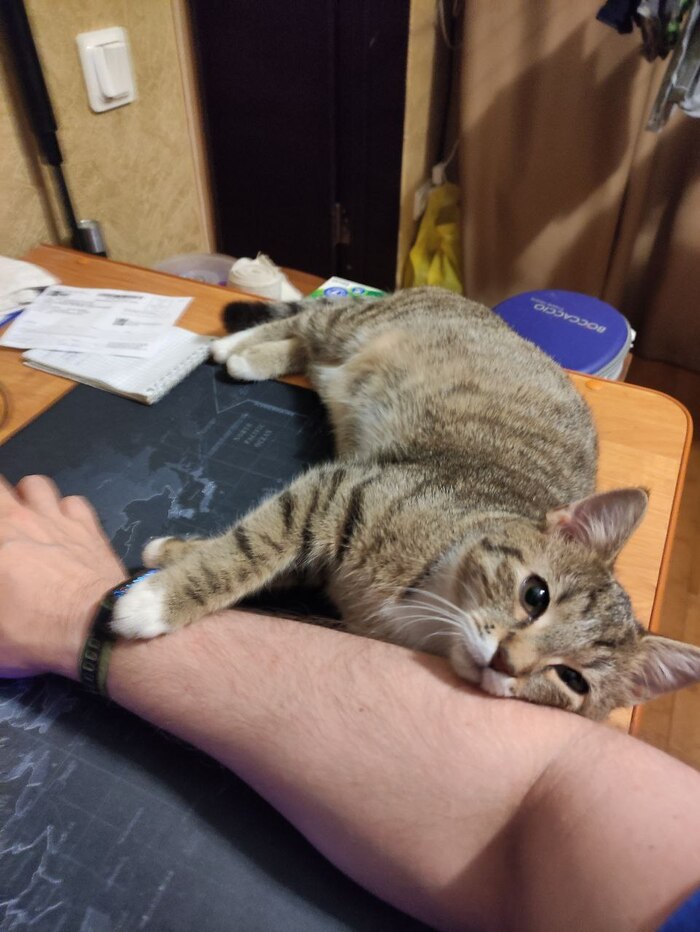 ��� ������ ���� ����