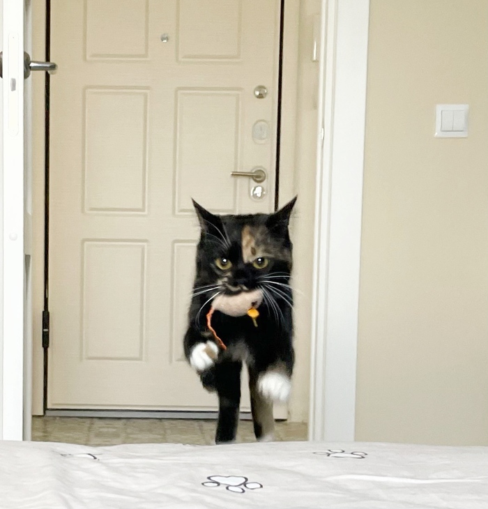 ����� �� ���� ���� ������ ���������� ������. � �� ��� ����, ����... ����-154 � ����� �����...�