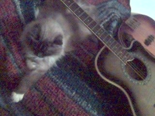 ����� Si1leHT � ����� � ������� #2: �������, ������� ������ �� ����������