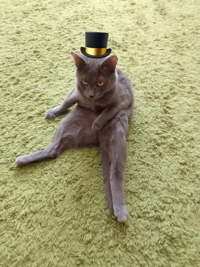 ������ ���� ������ �� ���� ����� ������������