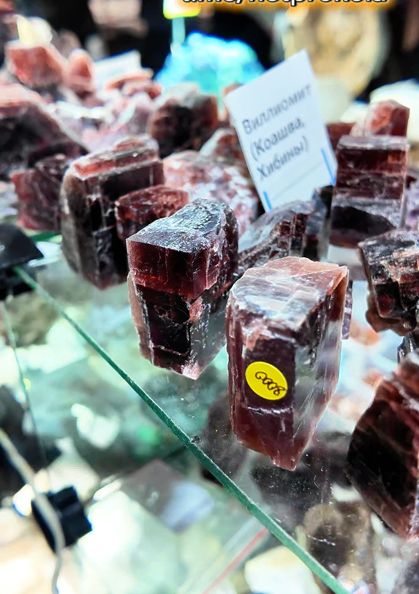 ��������� �� �������: 8000 ���