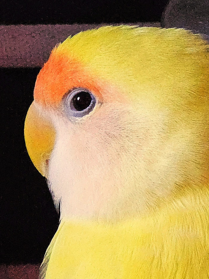 Criminal offensive side eye