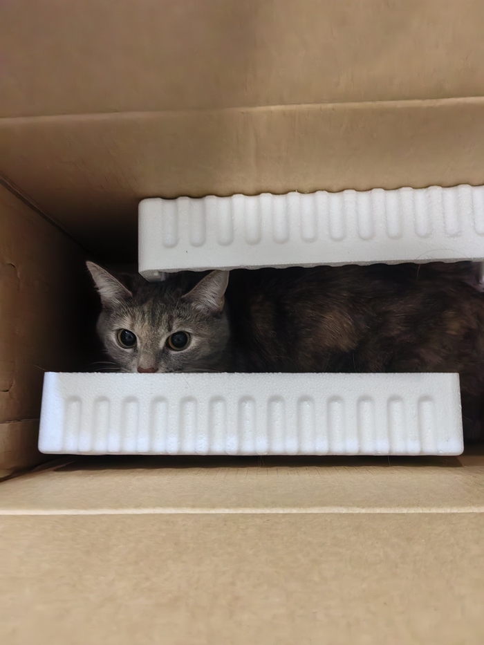 ������� � ������