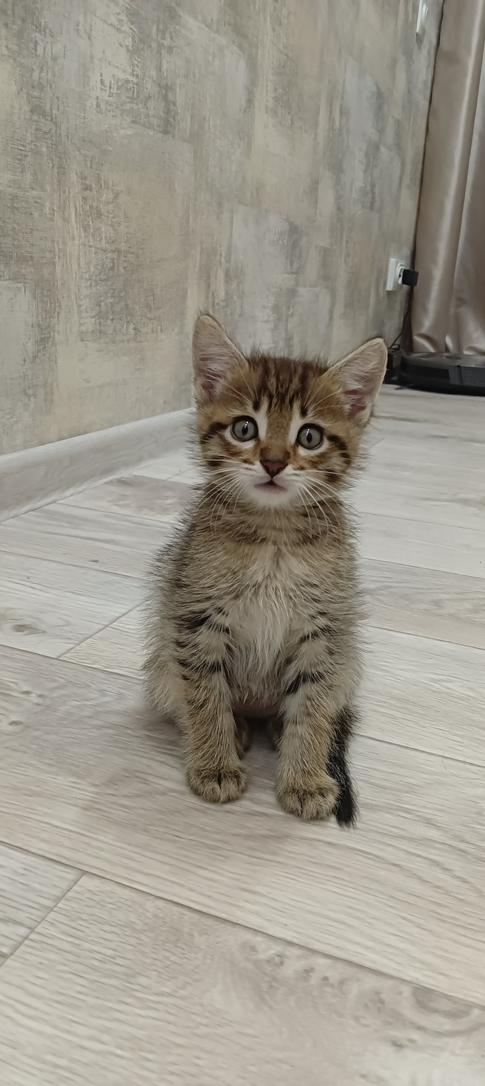 ��� ������ ���������� ����