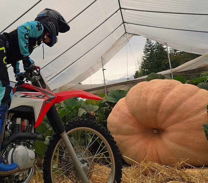 ���������� ����� �����. ������������� ������������ �� ����������� ���������� ����.