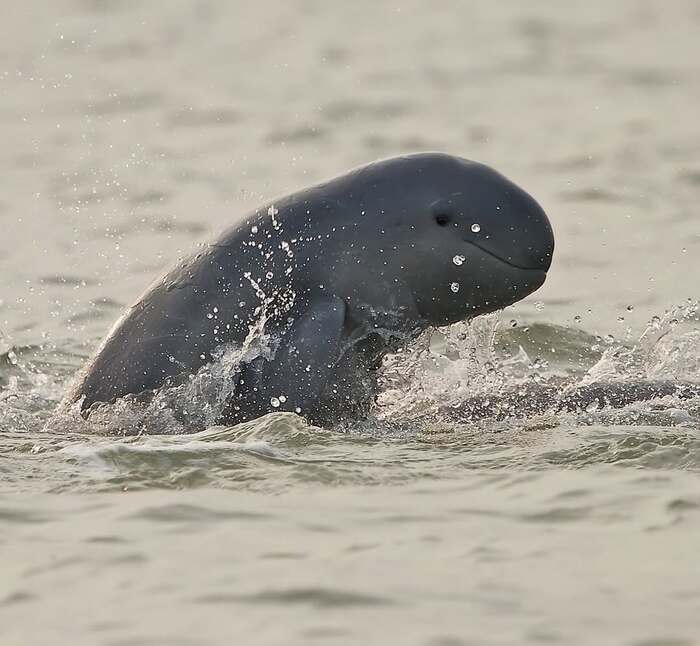 ������������ �������