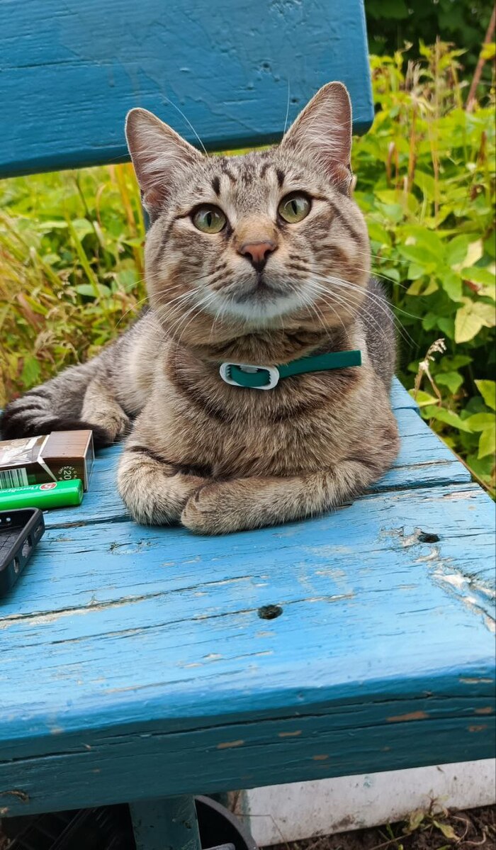 � ������ �� ���� ��� �������...