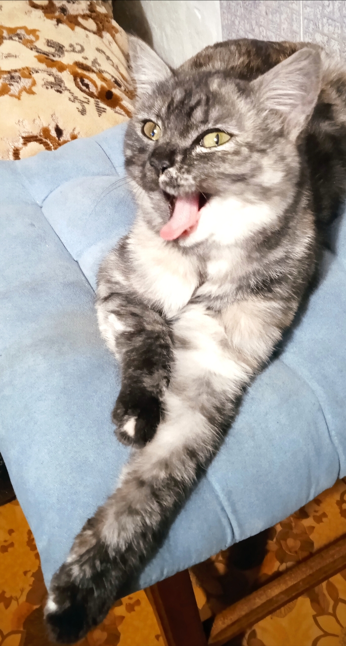 ��� ������ �� ������� ���������� ��������)