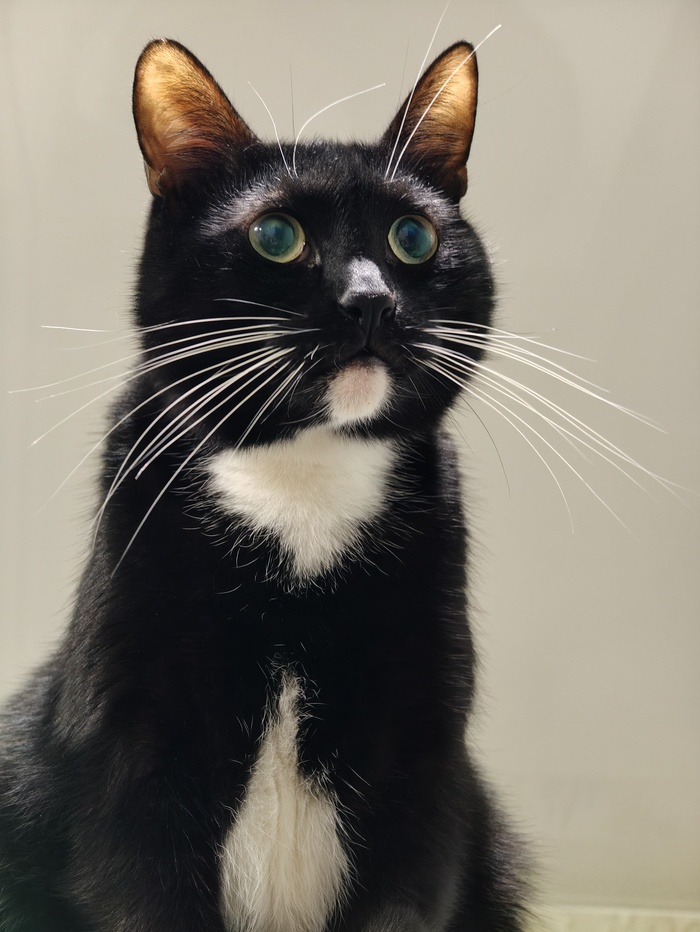 ��� ������ ���������� ����