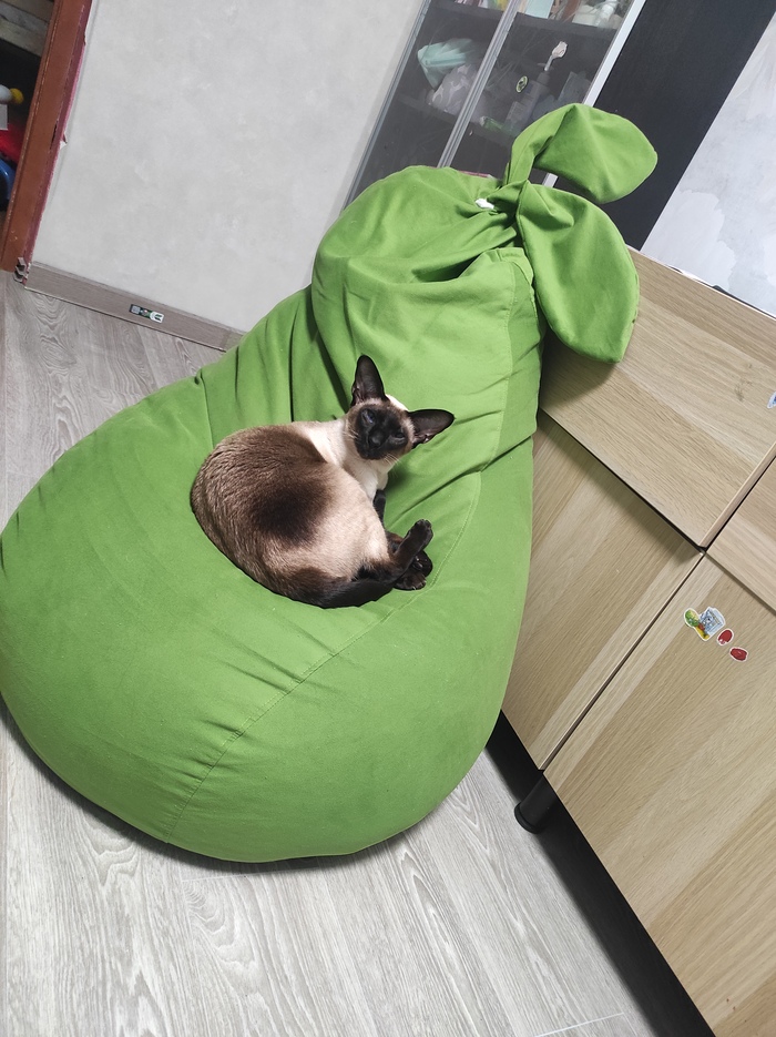 ������ �����