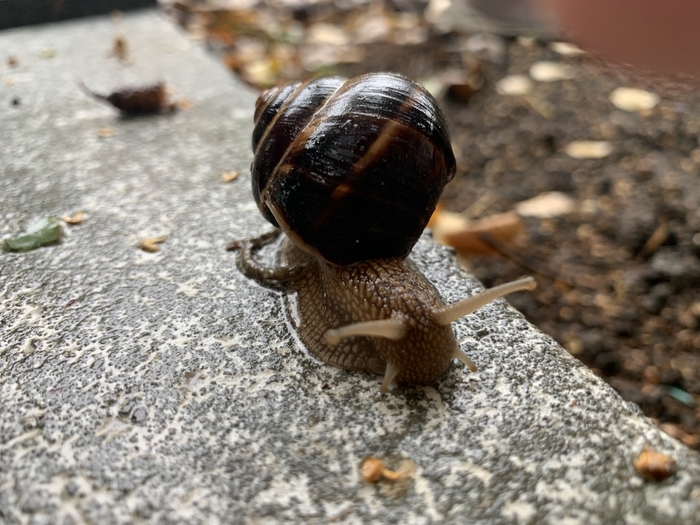 ����� �� ���� ���� ������ ���������� ������. � �� ��� ����, ����... ����-154 � ����� �����...�