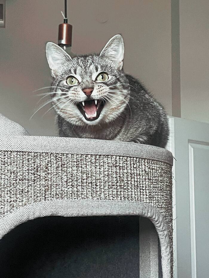 �������� ������ ������