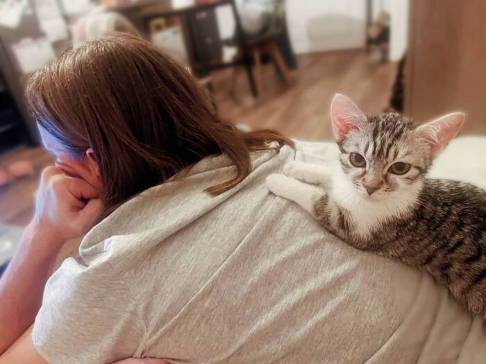 ��� ������: ���, ��� �� ����� ������ ���. ����� ��� ������ ������ �����.