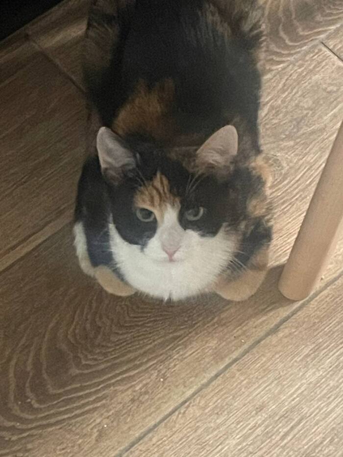 ��������