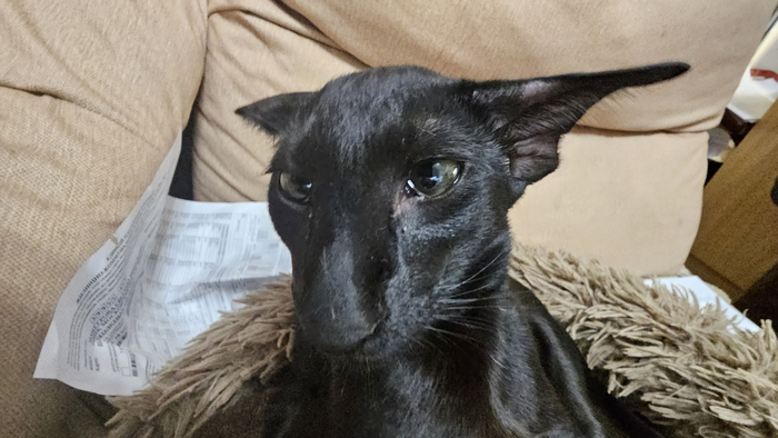 ����, �� ���� �� "�������"