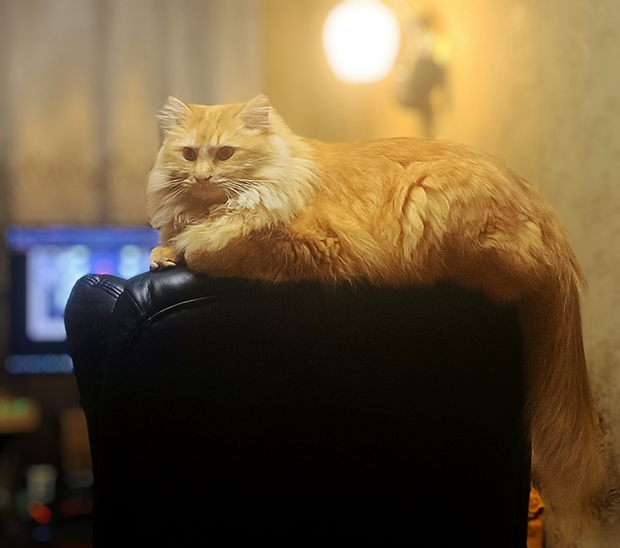 �� ������ ���� ����