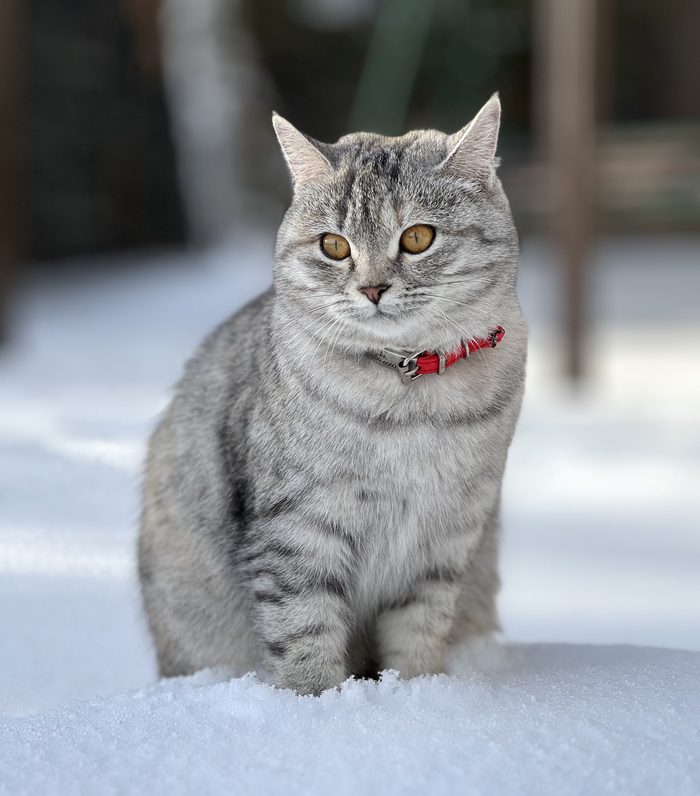 ������ ���� ���� �����