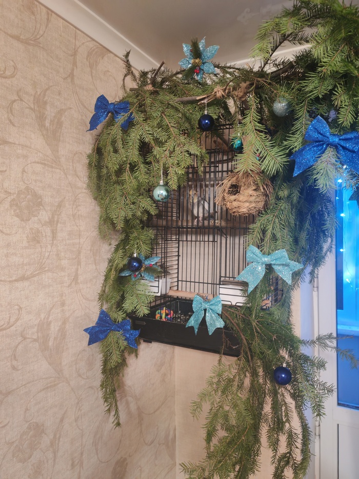 Ответ на пост «Мини мечта исполнена»