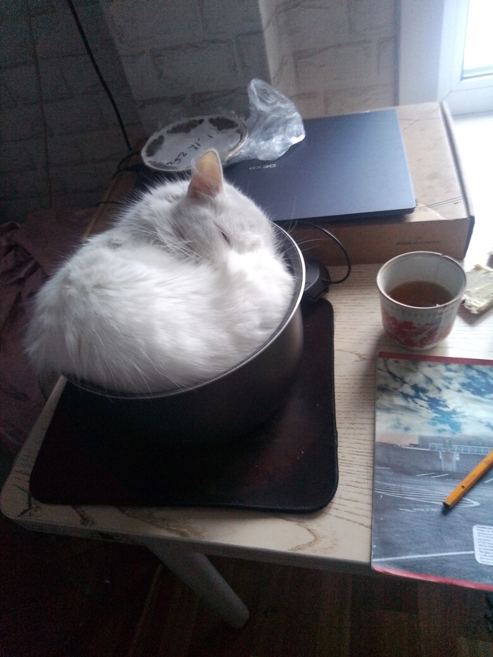 ������� - �� ������