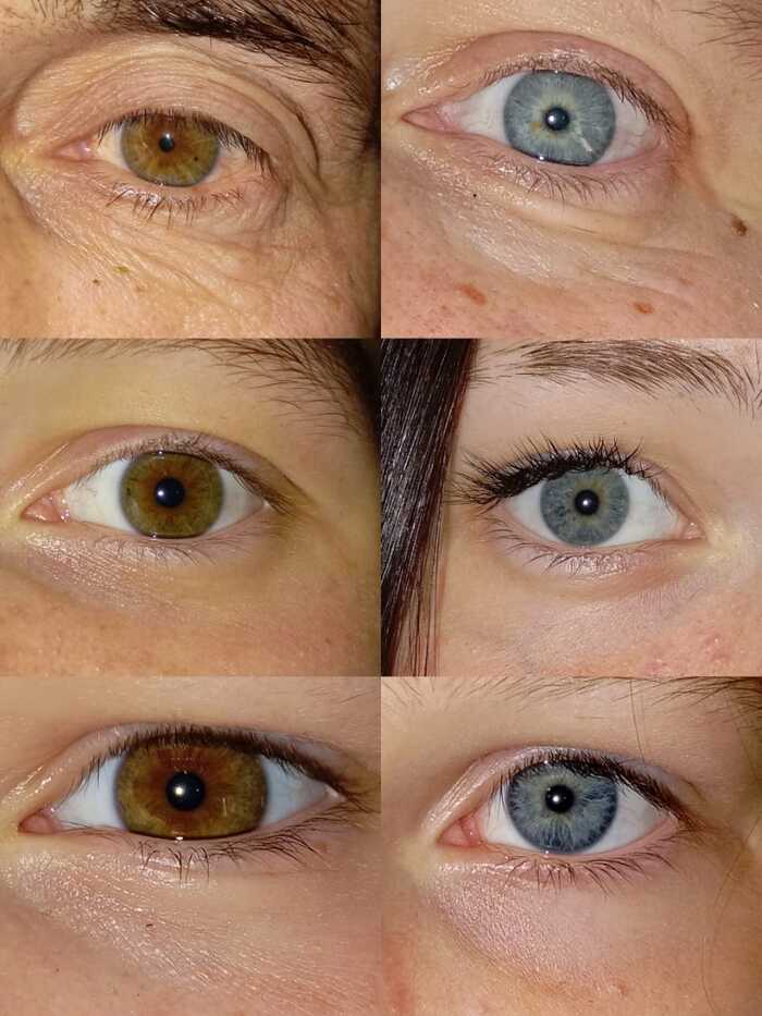 ����� ������ ���� � ��������