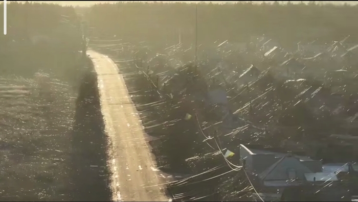 "����������� � ������ ���" ������ ������ ���-�� ��-�������