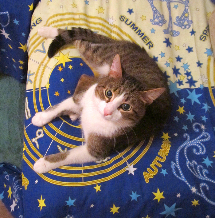 ��������� ������ �� �����. �������! 