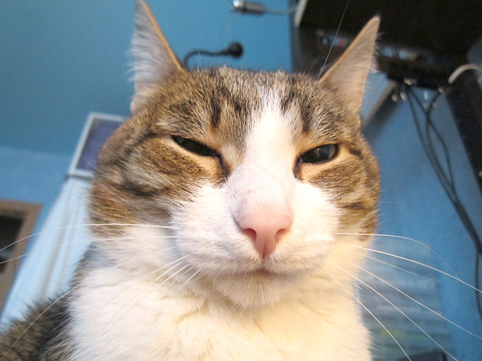 ����������: "������ �������, ��������!"