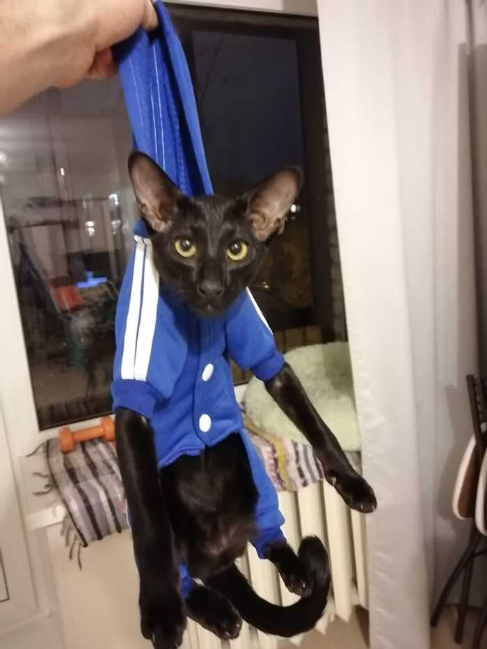 ��������� ���� �������� ������ �� ����� � �������� ��� ����