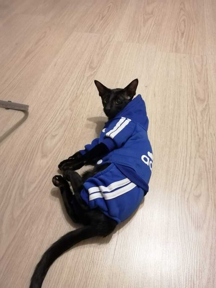 ����� �����������, � �� ������ �������� ������ ��������� ������� ������, �� ��������� ������� - ������� �������� �� ����� �������������. ���� �������� ���������� ����)