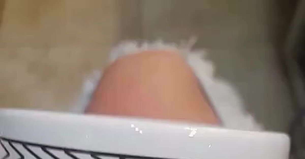 Waffles - Waffles, Universe, Video, Vertical video, Short videos, Mat