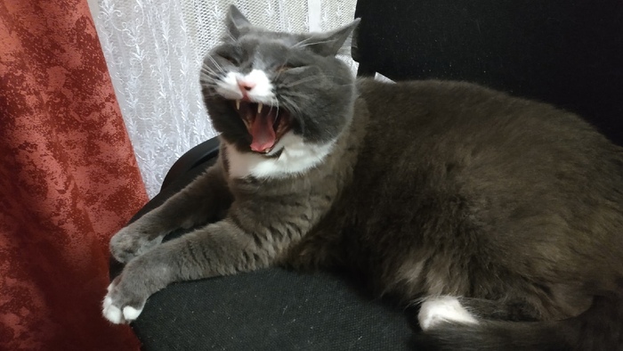 �� ������ ���� ����!