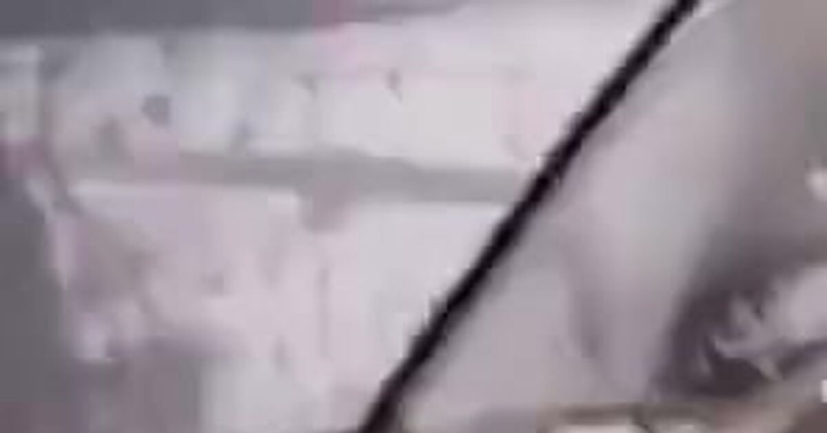 It'll last until spring. - Vertical video, Car, Motorists, Auto, Short videos, Humor, Video