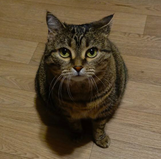 �� ������ ���������� �� �����?! ���� ���������� ��� �� ����� ������!