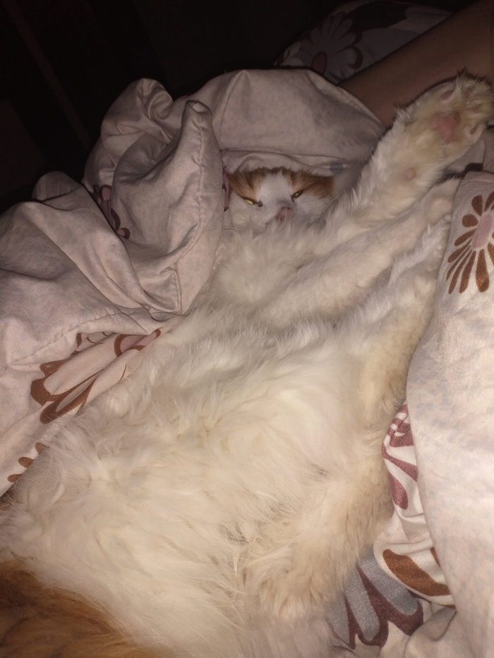 ����� �� ���� ��� ������ ���� ����