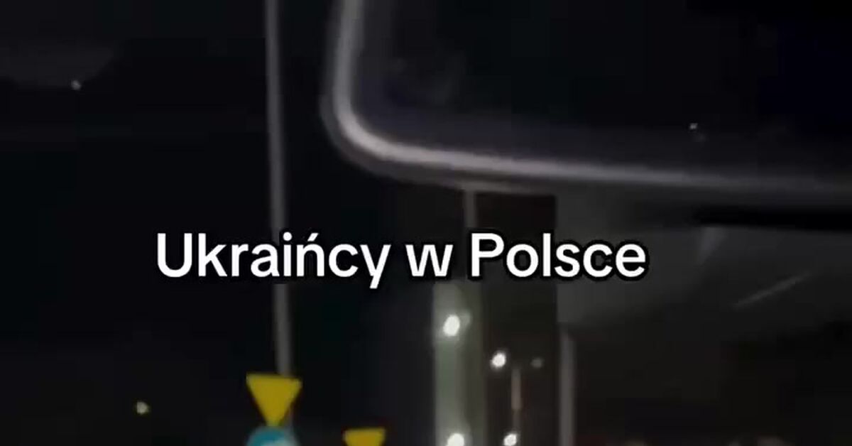 We all know Polish - Humor, Vertical video, Ukrainians, Poland, Curva, Banter, Video, Short videos