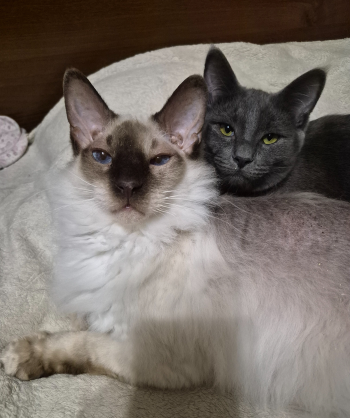 �� ��������� � �����, � ���� ��� ����������� ������, ��� ��� ����� �����