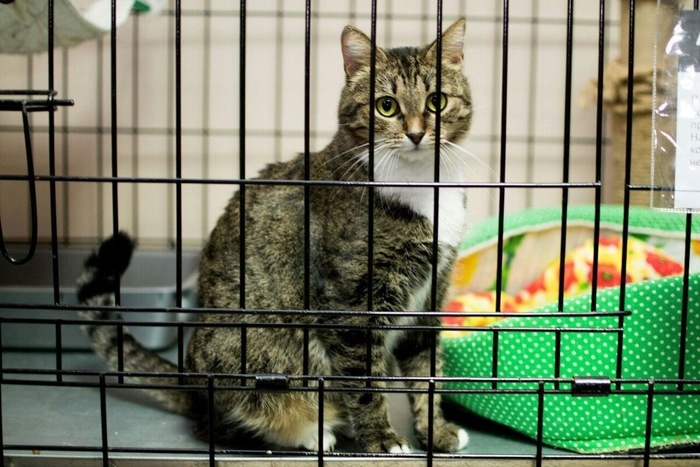 ������� ����� � ������ � ������. � ����� � ������� �� �����, �������������� ����, ������� �������, �������� �����, ���� �� �������� ������ ����.