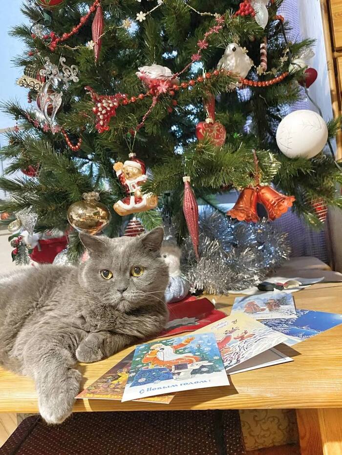 ���������� ����������