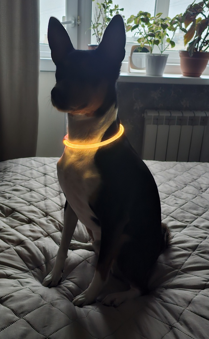 ������ ��������� ���������� �������, �������� ������� ������� � ����� ������� ���������� ���� ��� �� �����. ���������� �� usb, ��� ���� ����� ������.