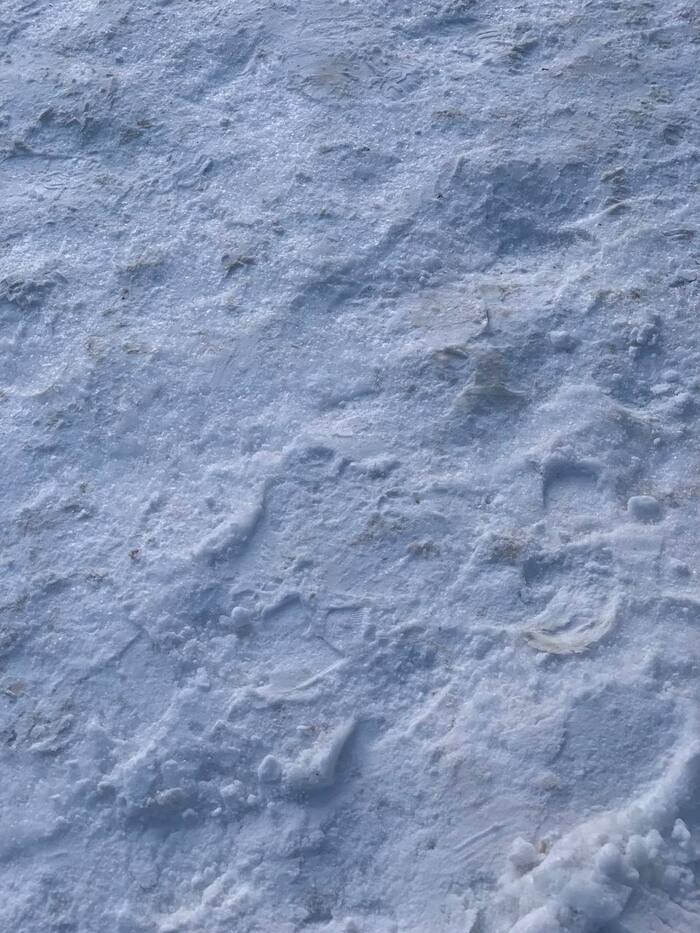 166 ���� ������� #91