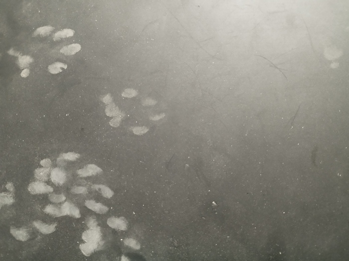 ������ ���� ����