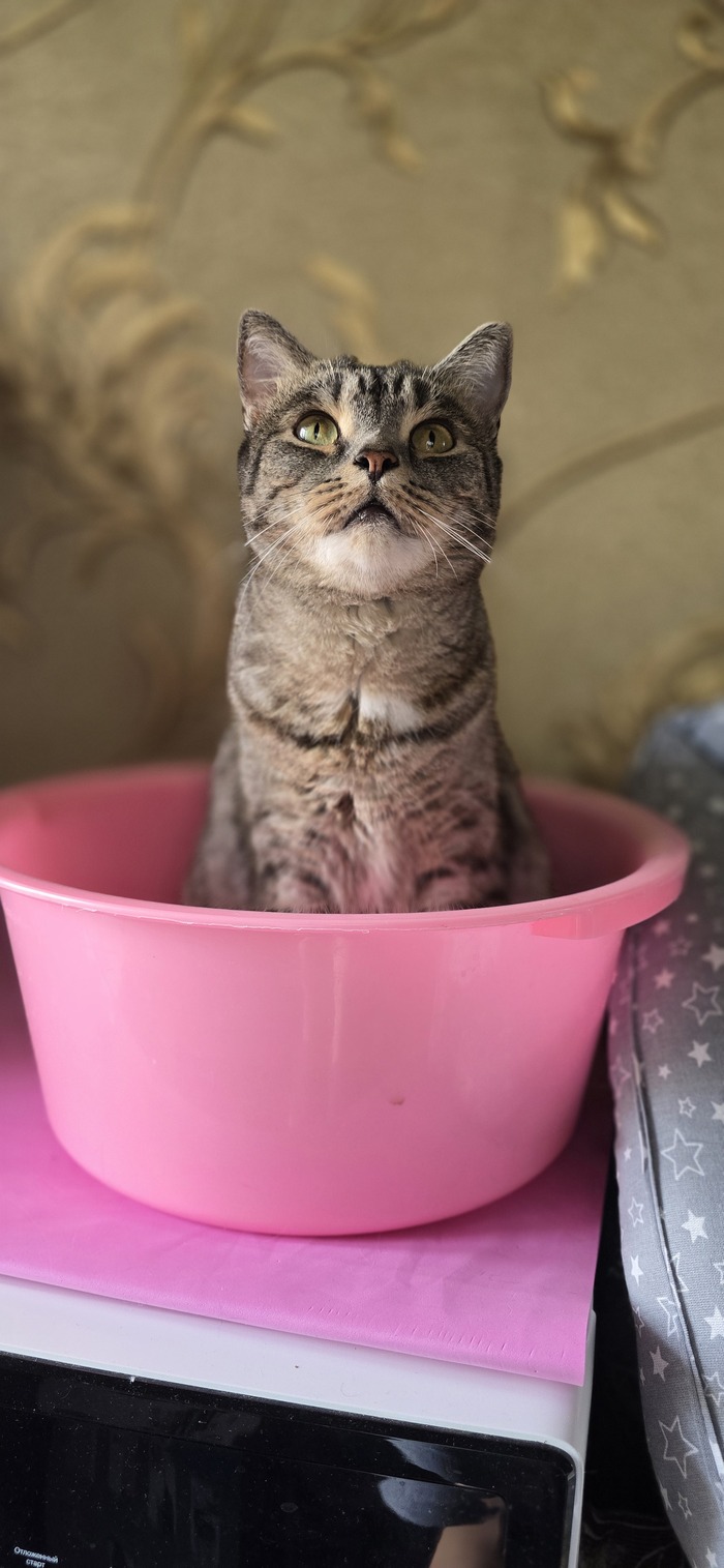 ��� ��� �����