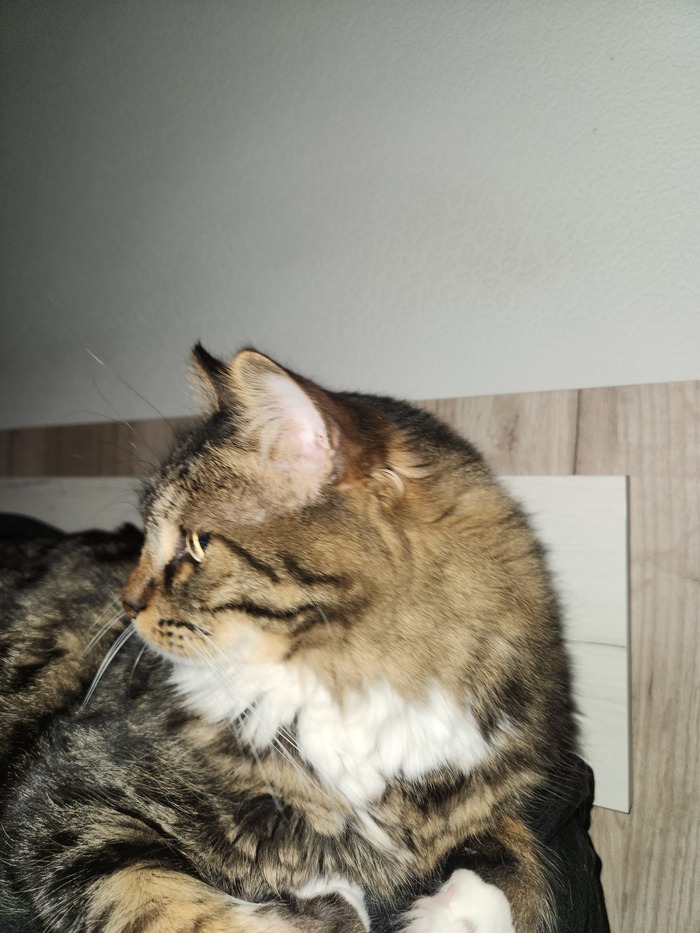 ���������� ������� #147