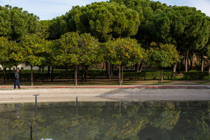 Привет из Валенсии