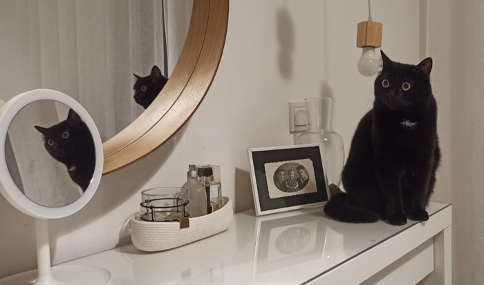 ��� �����, ����� �������� �������, �� ��� ������������� �� �����������: �� ����������� ���� �������� ��� ������ ������.