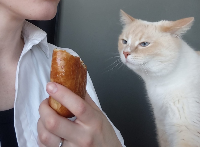 �� ��� ��������� ��� ��� ����� ������� ���������!