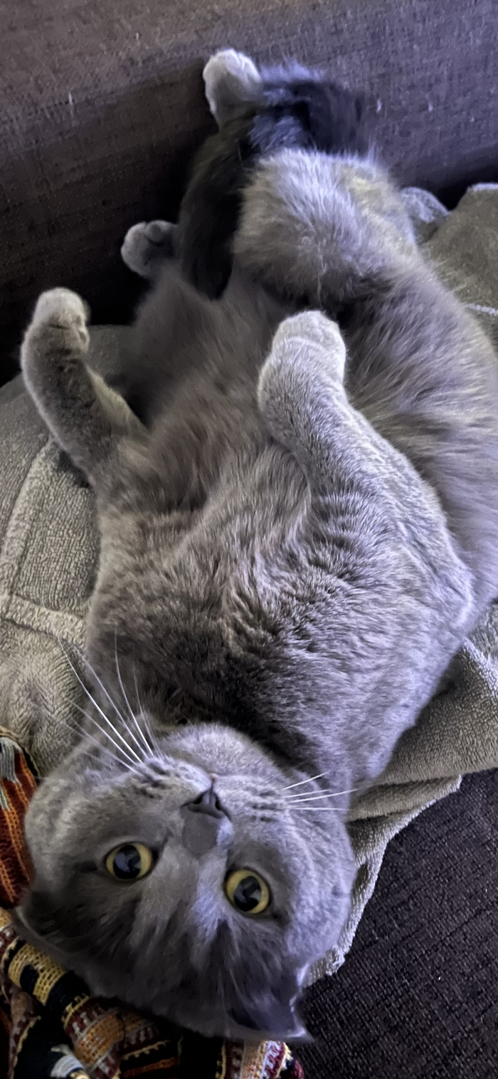 ����� A.dministrator � ������� ���� ����� ����