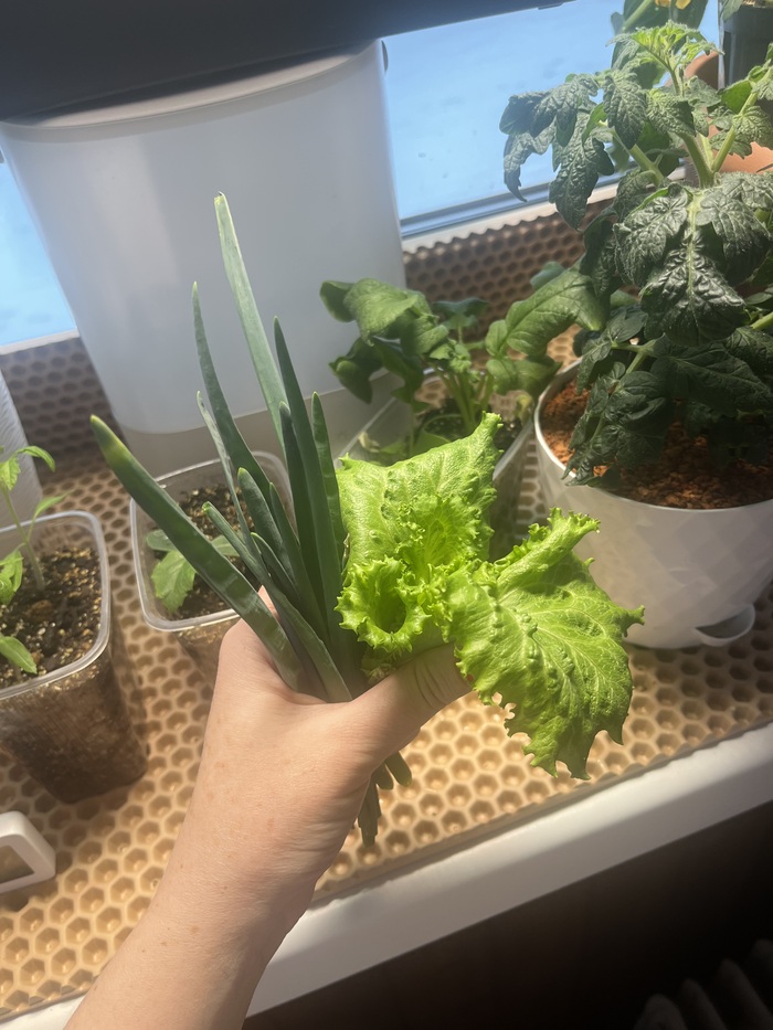 ������� ������� ������ � ��� ������.