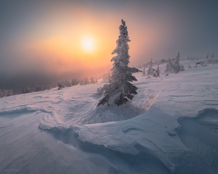 ����: ������������ ������ ����������<a href="https://pikabu.ru/story/odinochestvo_13522581?u=https%3A%2F%2Frtraveler.ru%2Fphoto%2F1480110%2F%3Feditorial_photos%3D1&t=%D0%BE%D1%82%D1%81%D1%8E%D0%B4%D0%B0&h=1f59ef03cf82567281bcaeeb1b177ba226762e4b" title="https://rtraveler.ru/photo/1480110/?editorial_photos=1" target="_blank" rel="nofollow noopener"> ������</a>